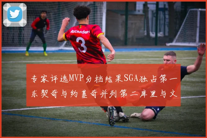 专家评选MVP分档结果SGA独占第一东契奇与约基奇并列第二库里与文班位列第四